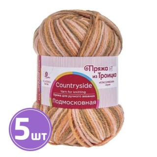 Пряжа из Троицка Подмосковная (2612), секционный, 5 шт. по 100 г Пряжа из Троицка Подмосковная (2612), секционный, 5 шт. по 100 г